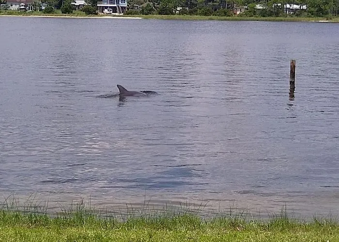 Relax And Enjoy Bayou Grande Pensacola