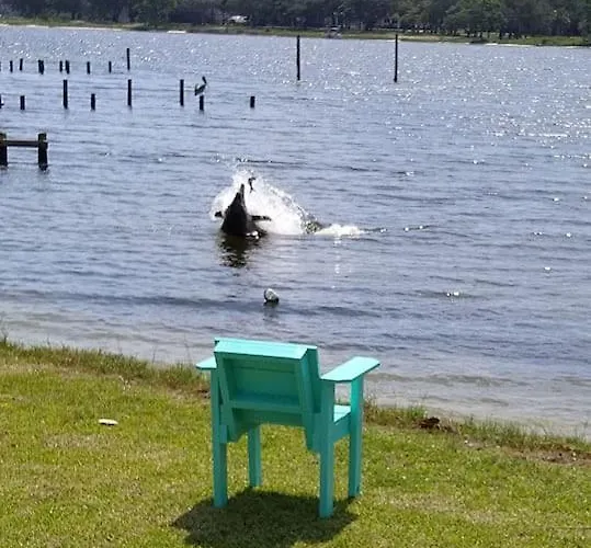 Apartment Relax And Enjoy Bayou Grande Pensacola